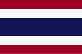 VPN Flag
