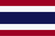 VPN Flag